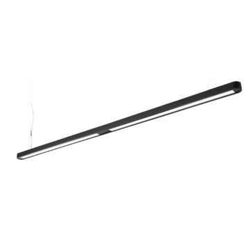 LM-48351