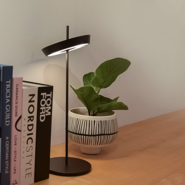 UBIQUA Torus Desk 充電式無線桌燈