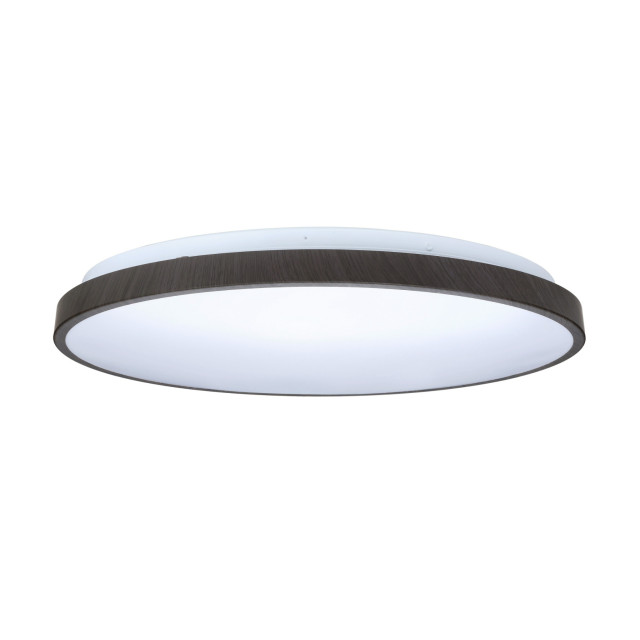 壯格 TRUNK LED 吸頂燈｜2.4G遙控調光調色款｜30W・50W・75W