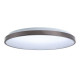 壯格 TRUNK LED 吸頂燈｜2.4G遙控調光調色款｜30W・50W・75W