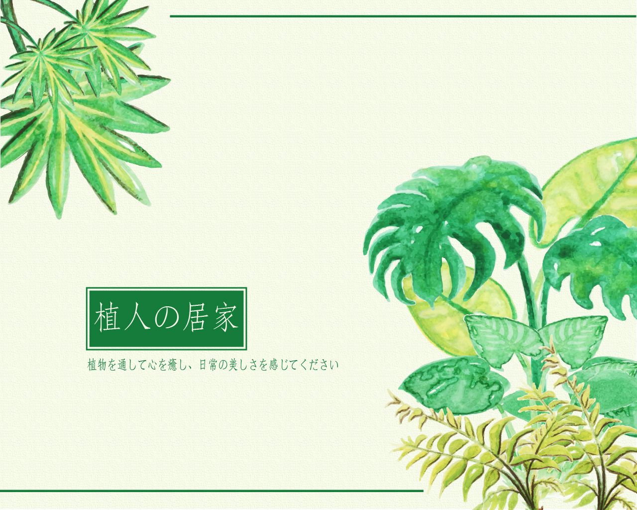 專屬於你的居家植栽空間