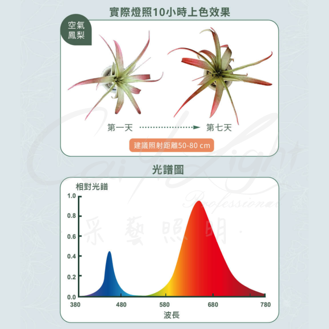 【台灣出貨 免運費】 植物燈全光譜 紅藍光譜 植物燈 植物生長燈 E27植物燈泡 多肉植物燈 植物燈泡 植物補光燈 舞光LED